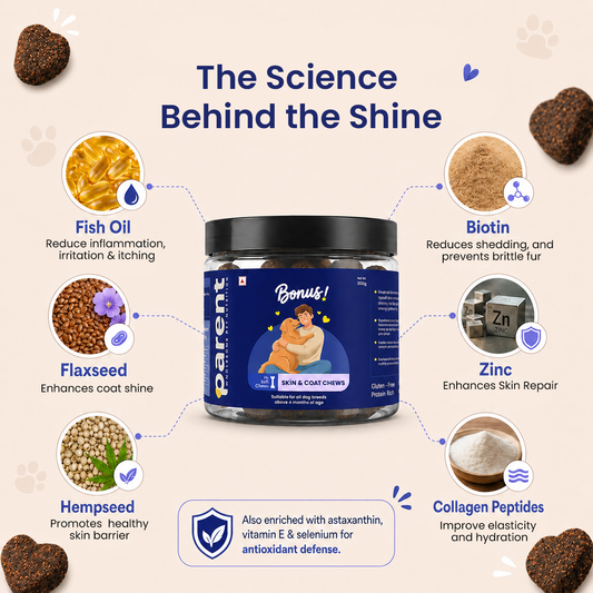 Bonus - Skin & Coat Soft Chews (30 Chews)