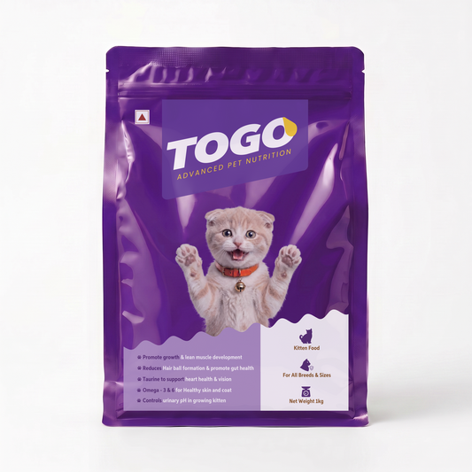 Togo - Kitten