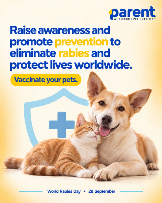 World Rabies Day