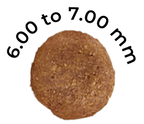 Parent – Puppy Pet Food