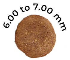 Parent – Puppy Pet Food