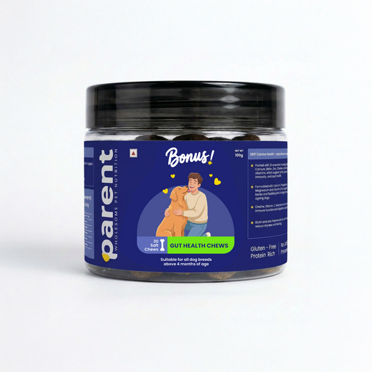 Bonus - Gut health Soft Chews