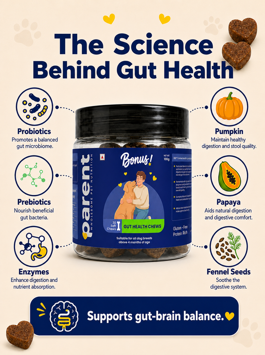 Bonus - Gut health Soft Chews (30 Chews)
