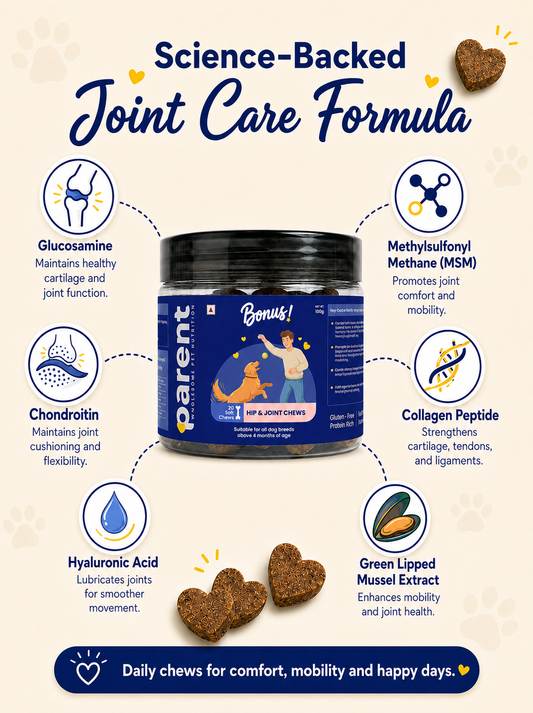Bonus - Hip & Joint Soft Chews (30 Chews)