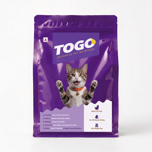 Togo - Adult Cat