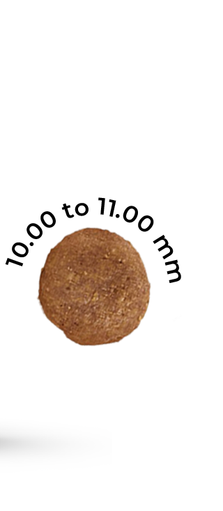 Parent – Senior Pet Food