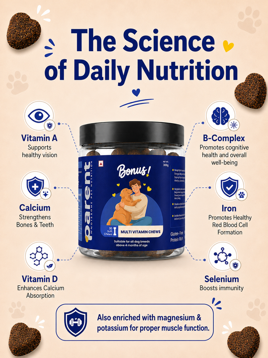 Bonus - Multivitamin Soft Chews (30 Chews)
